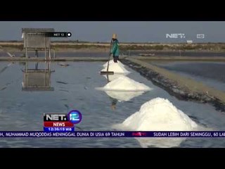 Harga Garam Naik - NET12