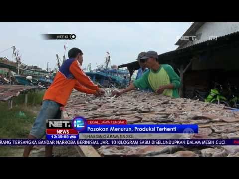Garam Mahal, Perajin Ikan Asin Bangkrut - NET12