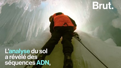 Des séquences ADN inconnues découvertes en Antarctique