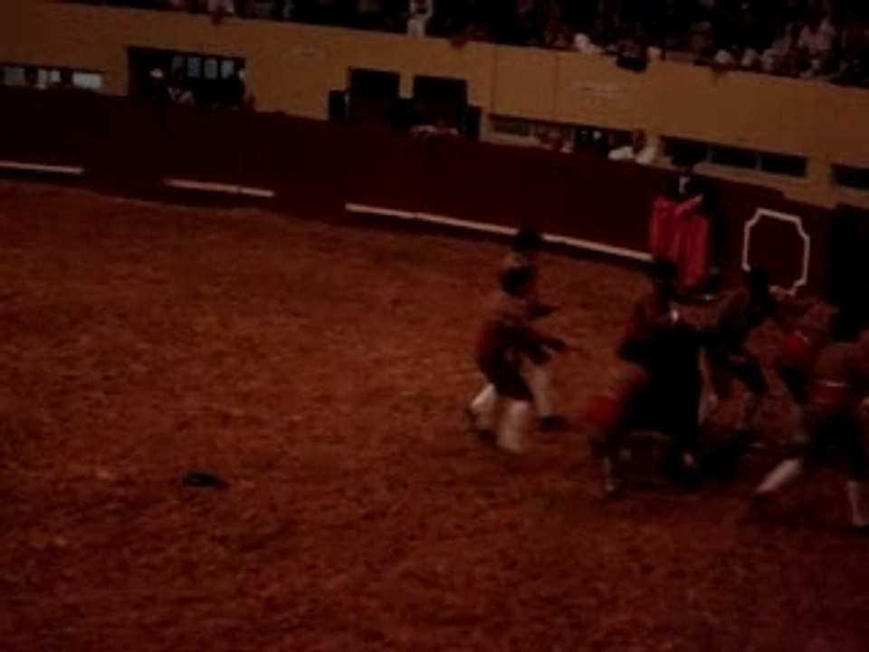 corrida les mec c des bonhommes
