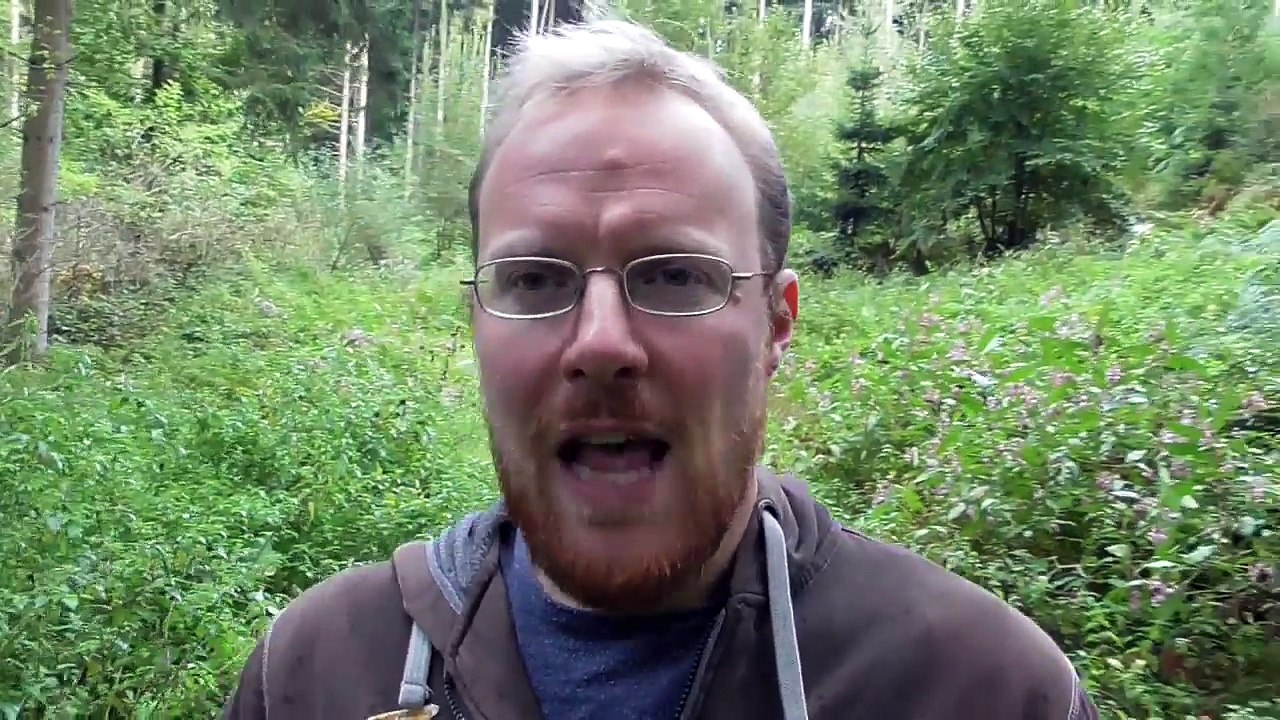 Alle Ausländer raus - Kollaps der Multikulti-Fantasterei