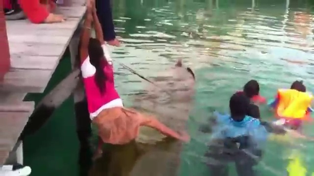 Technique incroyable pour renflouer une pirogue