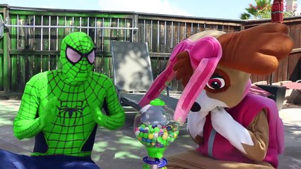 Spiderman LEARN COLORS Using BUBBLE GUM! w/ Paw Patrol Skye, Chase & Joker in Real Life