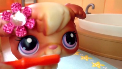 ★LPS: Star Girl ★ Episode 1 ★ (The strange light)