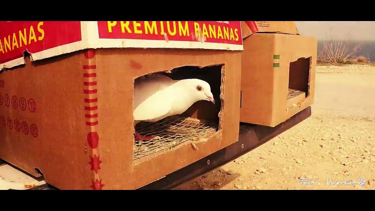 Winter is Coming - Rough Sea - Gozo, Malta - VLOG #2