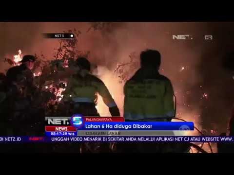 Lahan Seluas 6 Hektar Diduga Dibakar Untuk Membuka Lahan Baru - NET5