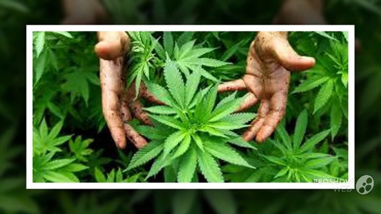 Learn about weed