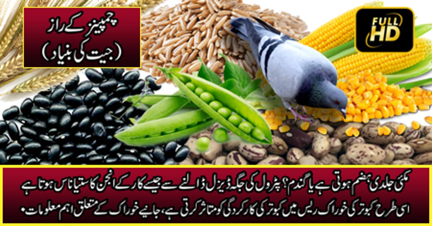 Fuel (خوراک کے متعلق اہم معلومات)