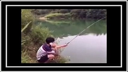 Parrot Flirt With Young Girl Very Funny Video Whatsapp Video 2017 funny