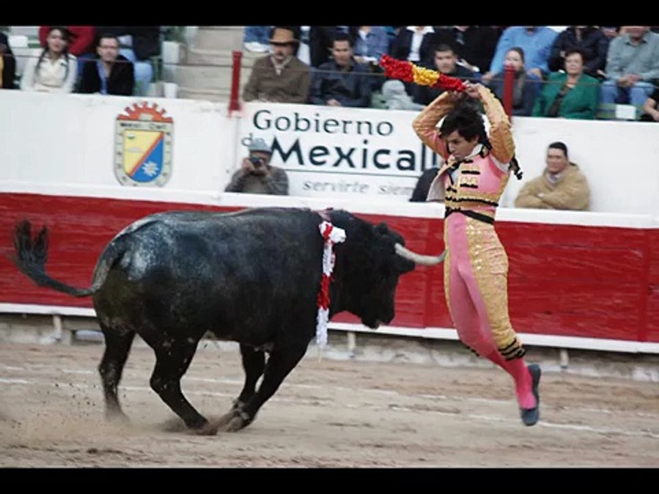 La Luna y el Toro ↓ El toro y la Luna-(Ese Toro enamorado de la Luna) [Cumbia]