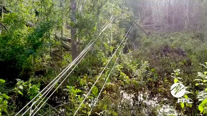 Drone footage shows extent of Irma damage in Florida