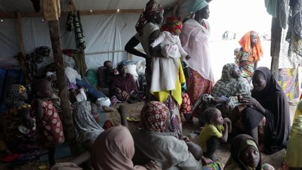 5 claves para entender la crisis en Borno, Nigeria (MSF)