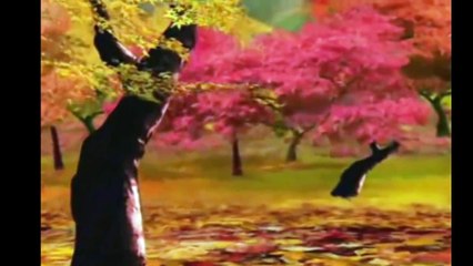 Le Corbeau et le Renard histoire pour les enfants (arabe)
