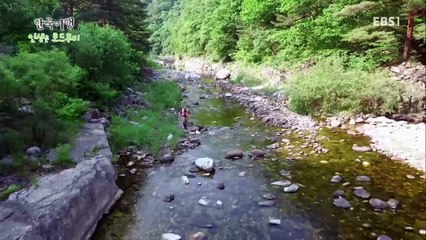 한국기행 - Korea travel_인생은 로드무비 2부 흐르는 강물처럼_#002