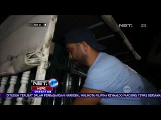 Petugas Pindahkan Singa Hamil ke Turki - NET24