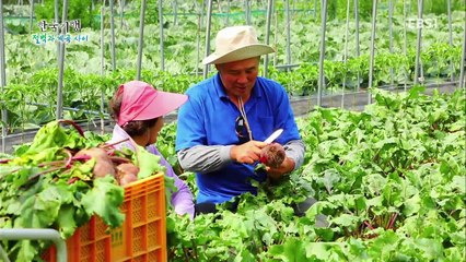 한국기행 - Korea travel_절벽과 계곡사이 2부 물 위를 걷는 산_#002