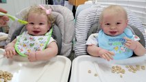 How To Feed Twin Babies - Twin Reborn Baby Dolls - nlovewithrebornsnew