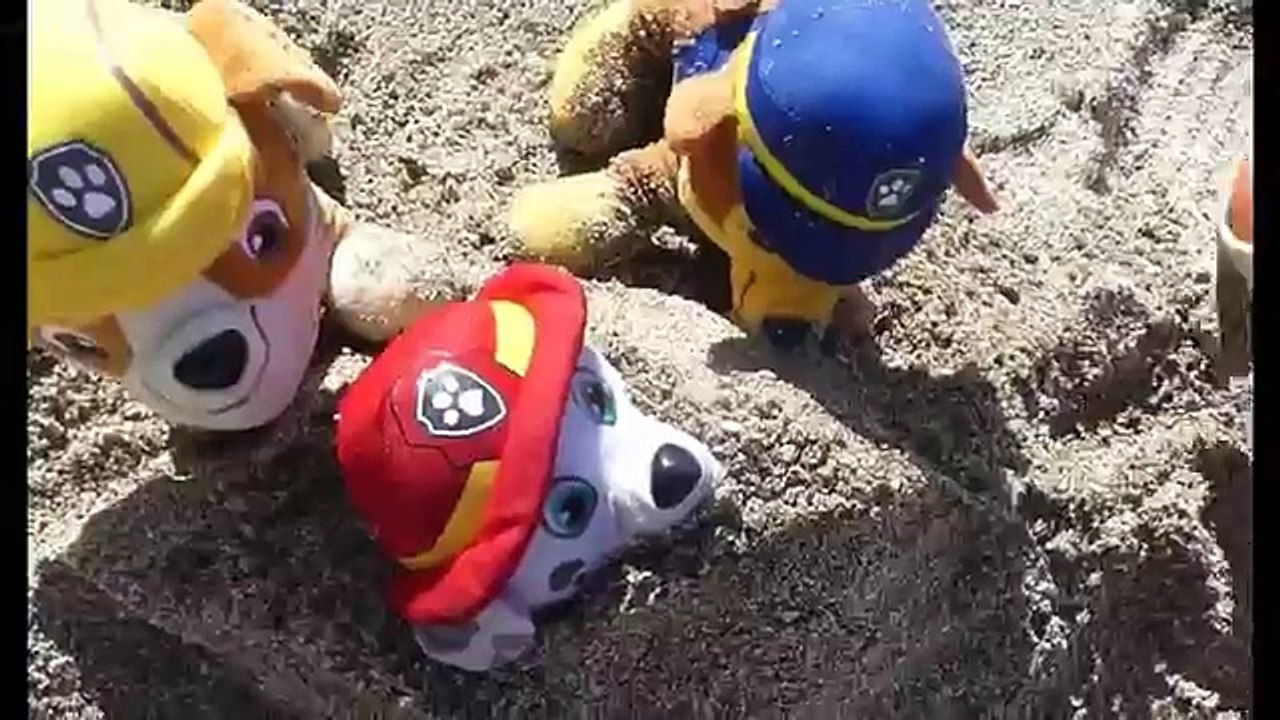 Paw Patrol en español van a La Playa 2 Patrulla Canina juguetes Paw Patrol - enpanol