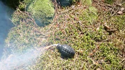 Smoke Grenade in the Woods