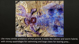 TOP 10 Amazing NEW DINOSAUR Discoveries
