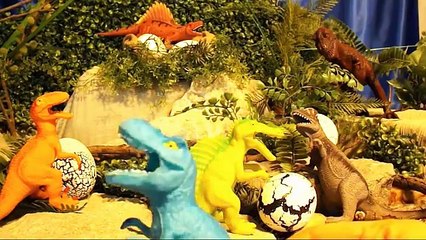 Download Video: Dinosaur Eggs Hatching Toy Dinosaur Eggs Surprise Dinosaur Eggs Toy Dinosaurs Toy Dinosaur Eggs Dino