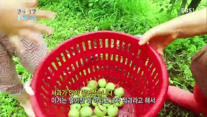 한국기행 - Korea travel_숨겨진 계곡 1부 수하에 놀다_#002