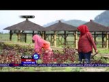 Bersantai dan Bergaya di Cafe Sawah - NET5