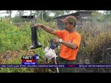 Minimnya Sumber Air Persulit Pemadaman Kebakaran Lahan di Jambi - Net 16