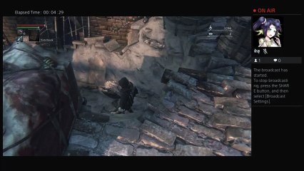 Bloodborne gameplay #2 (4)