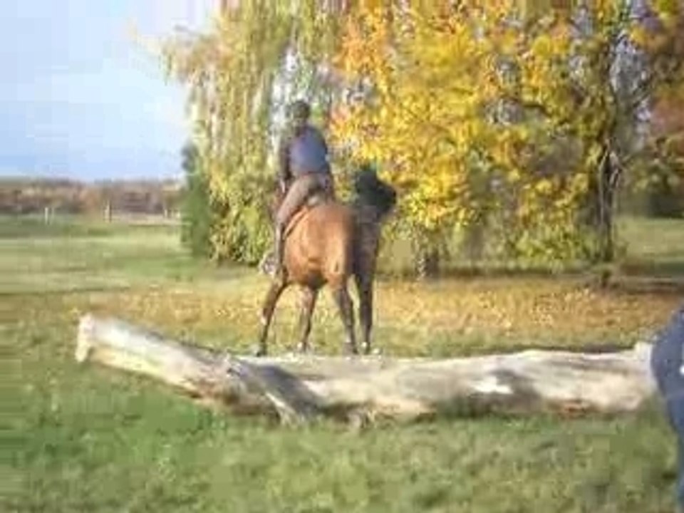 Cross 1