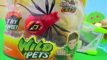 Shopkins Season 4 Visit Interive Attack Wild Pets Spider In Cage Habitat at Zoo - Cookieswirlc