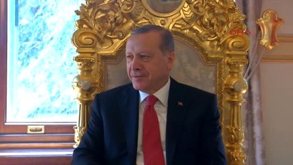 Erdoğan Pakistan Pencap Eyaleti Başbakanı Şerif'i Kabul Etti