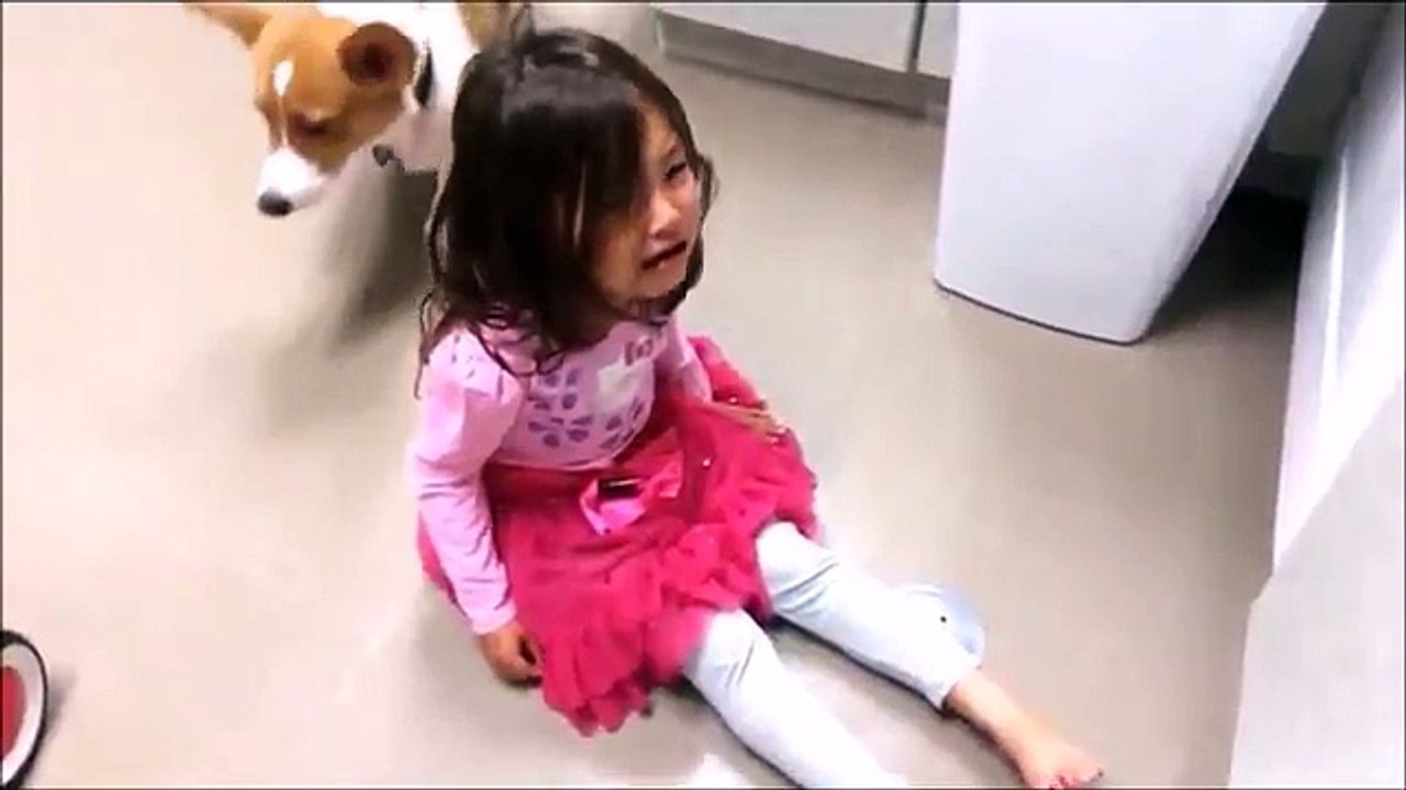 Ağlayan Çocuğu Teselli Eden Köpek