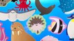 LEARN SEA ANIMALS & WATER ANIMALS NAMES AND SOUNDS REAL OCEAN SOUND CARTOON VIDEO FOR KIDS PART 3