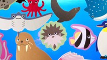 LEARN SEA ANIMALS & WATER ANIMALS NAMES AND SOUNDS REAL OCEAN SOUND CARTOON VIDEO FOR KIDS PART 3