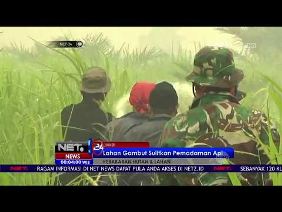 Lahan Gambut Sulitkan Pemadaman Api - NET24