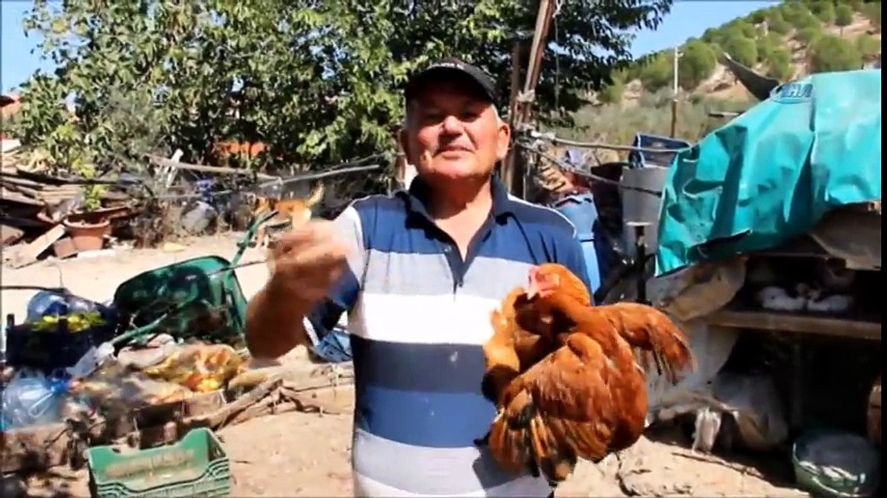 Bin Liralık Yumurta