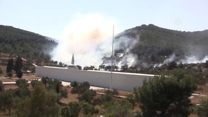 Gelibolu Yarımadası'nda Orman Yangını