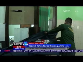 Bocah Tewas Diserang Anjing - NET24