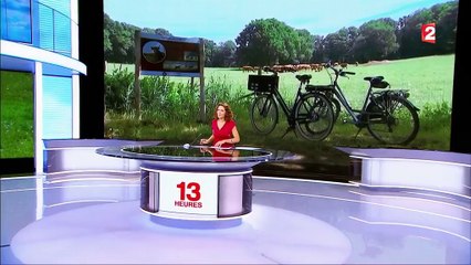 Pays-Bas : quand les consommateurs financent leur ferme