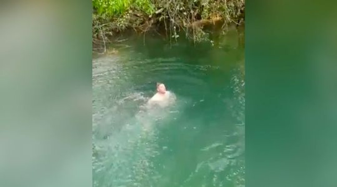 Cet homme pensait se baigner tranquillement !