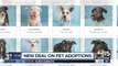 Arizona Humane Society offering 50% off adoptions this Friday and Saturday
