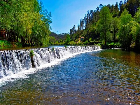 Ilustrações do Reino de Deus - O tartaruguinha - Juanribe Pagliarin - Glória a Deus!