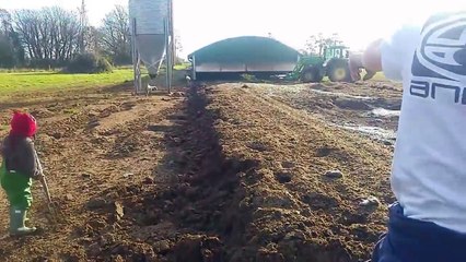 Amazing! Rat Catching With Farm Dogs About 350 Rats