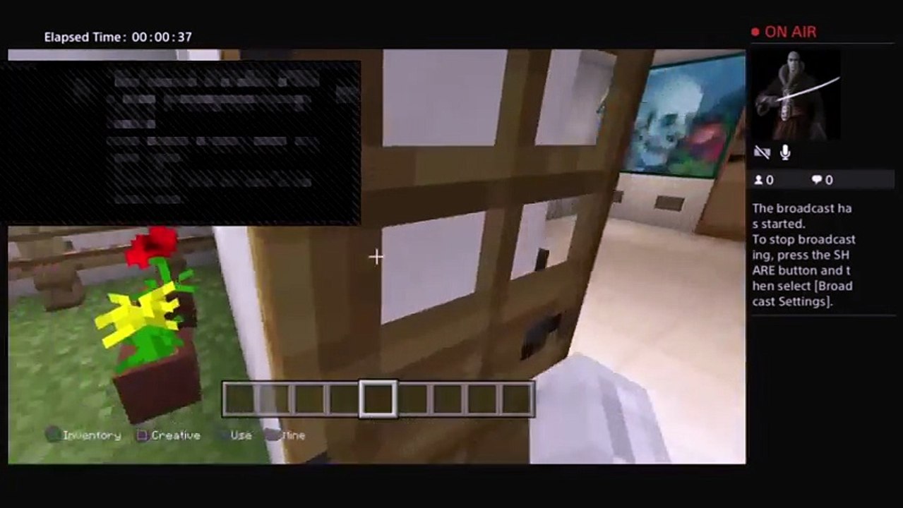 Minecraft (37)