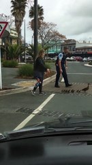 Mother and Ducklings Get Police Escort Across Street