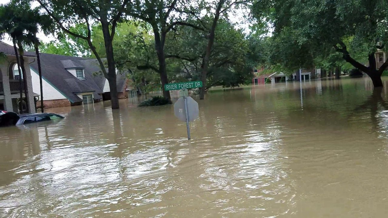 Neighborhood Underwater