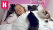 Наши котята Bad baby Little Kittens в Домике для кукол мультики про котят у Кати и Макса Kid's Morning routine new video
