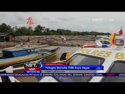 Pembalakan Liar, Petugas menyita 7000 Kayu Ilegal - NET24