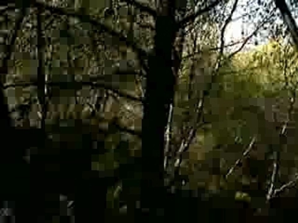 Ben Laden feat Supercopter VS Bush Sarko